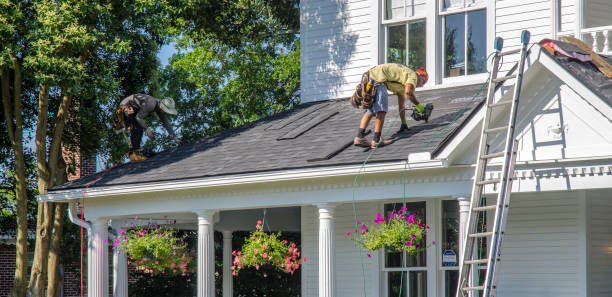 Best Roof Gutter Cleaning  in Fraser, CO